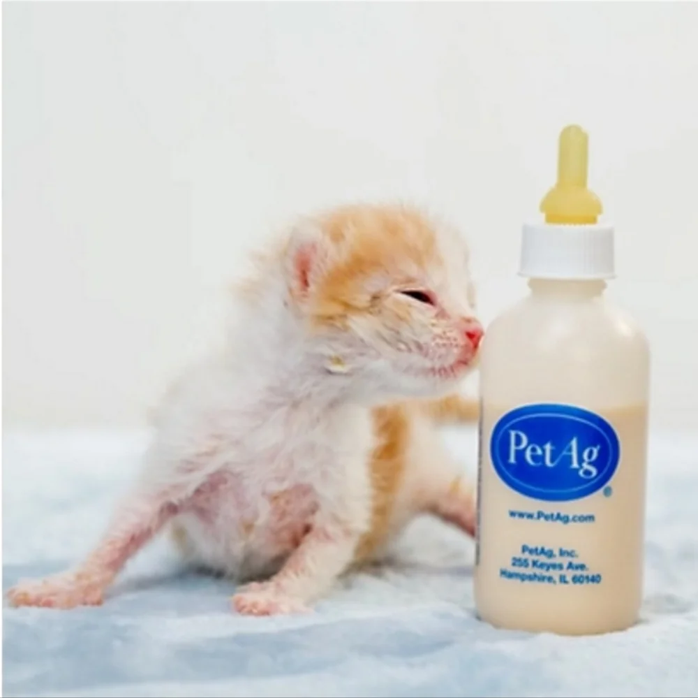 Small Animal Nursing Kit